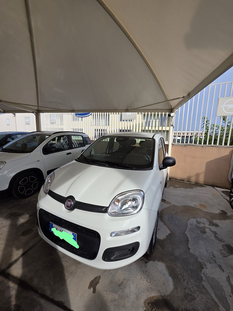 Miniatura: FIAT PANDINA FIRFLY 1.0 69 CV