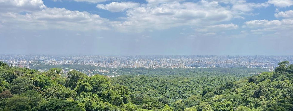 WhatsApp Image 2026-01-06 at 14.20_edited.jpg