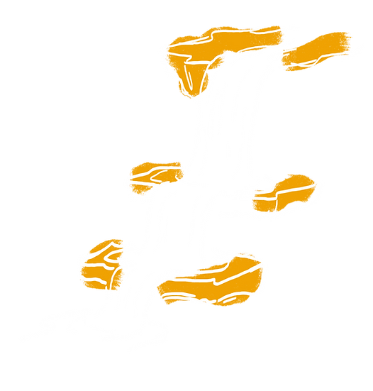 S6.2.png