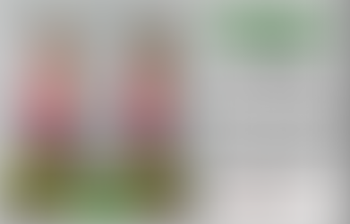 Michelle – 6 Week Transformer