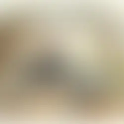 professional attending a virtual meeting from a home office