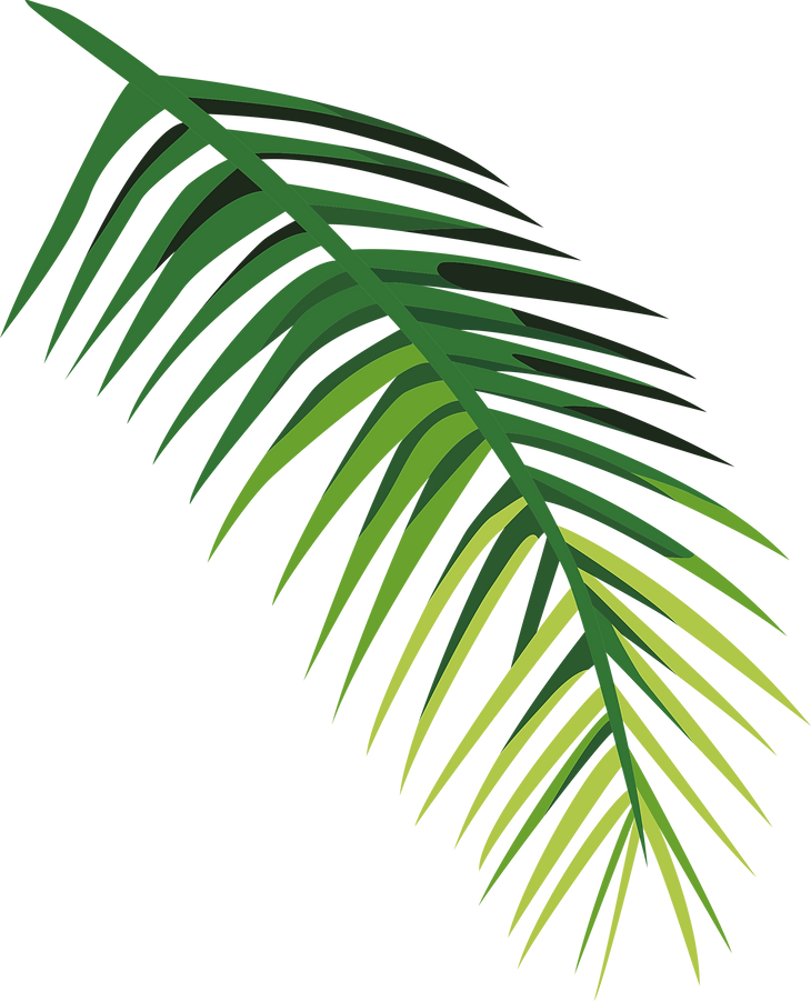 Tropical Leaf _edited.png