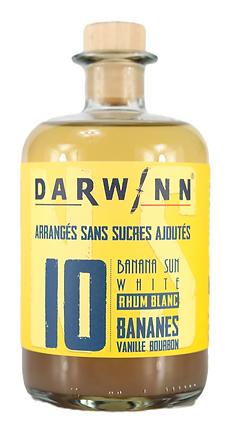 BANANA SUN N°10 N.S (sans sucres ajoutés)