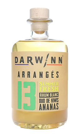 SUMMER FRESH N°13  Darwinn