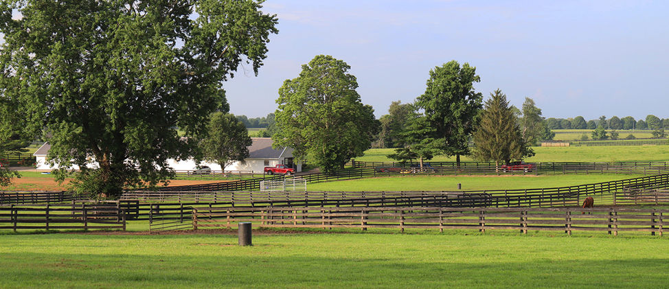 Midway Farm #10.jpg