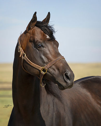 Dennis Moment 2 (1).jpg