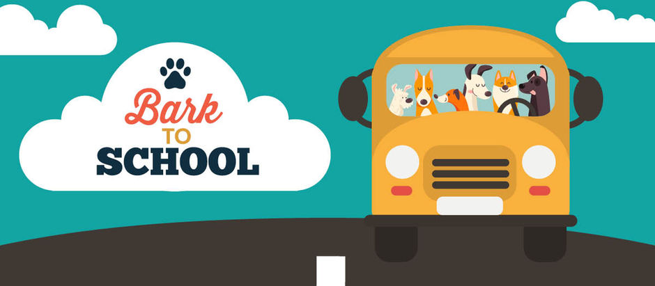 Bark to School 