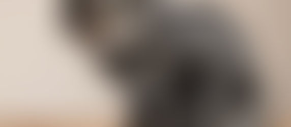 Is Your Tabby Looking Tubby?