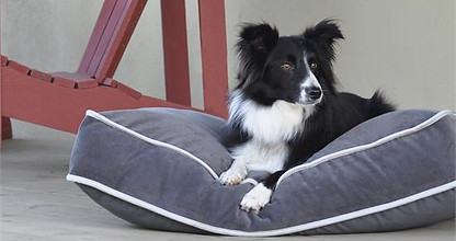 Shedrow K9 dog bed