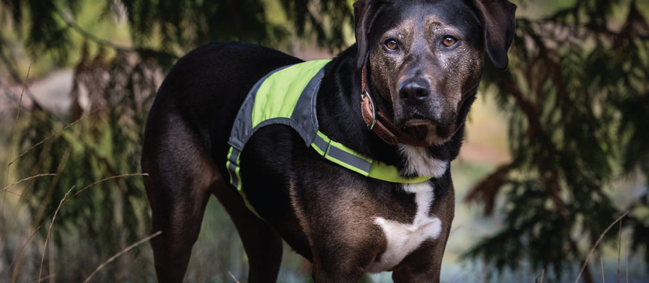 Stay Visible this September