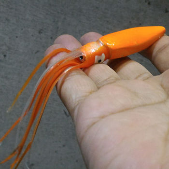 イカにしか見えません・・