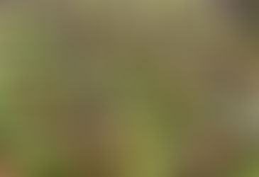 Hoe zou Walmart de medicatieveiligheid verbeteren?