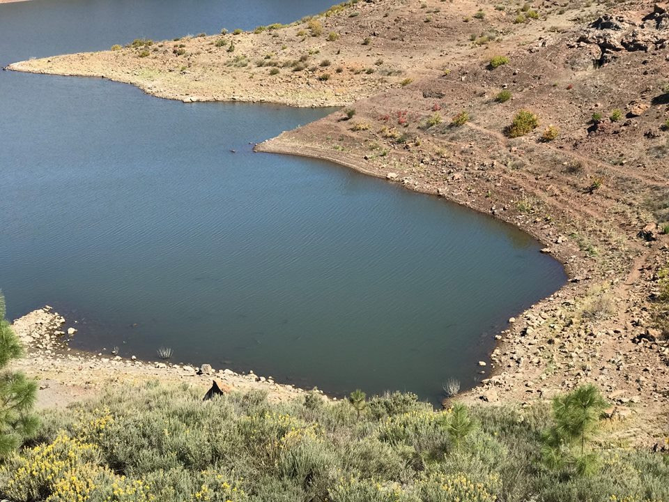 Fly Fishing for Carp in Gran Canaria with the Gouldfish Car'Poon