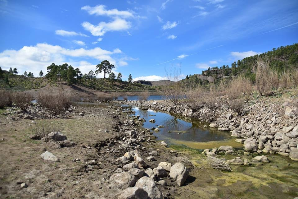 Fly Fishing for Carp in Gran Canaria