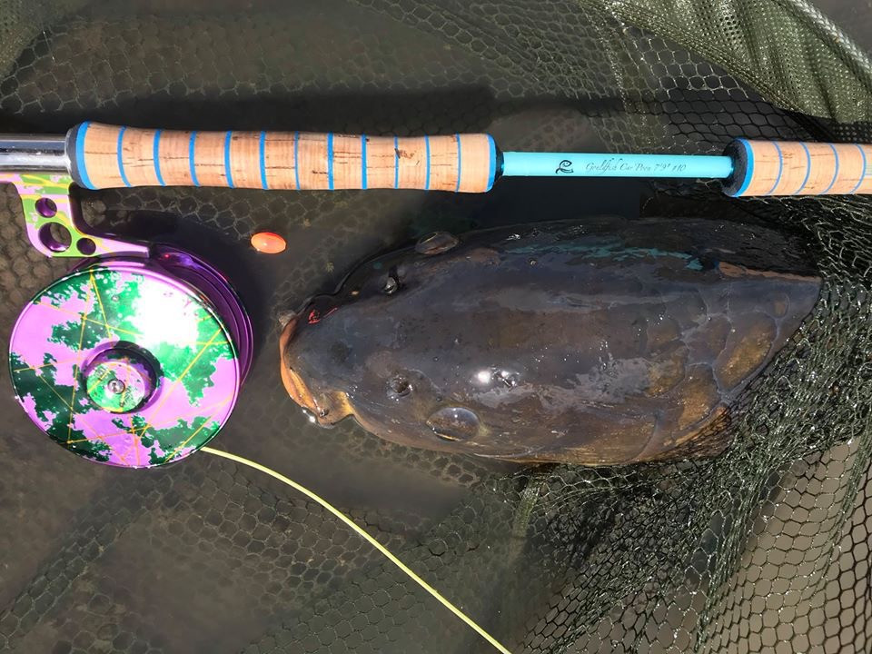 Fly Fishing for Carp in Gran Canaria with the Gouldfish Car'Poon Carp Fly Rod