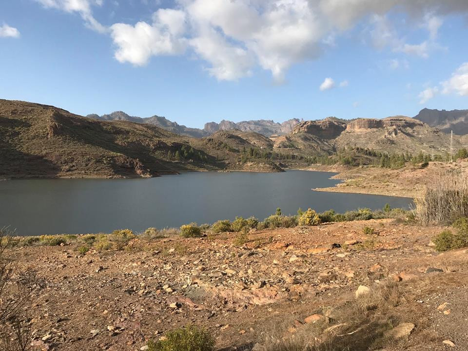 Fly Fishing for Carp in Gran Canaria