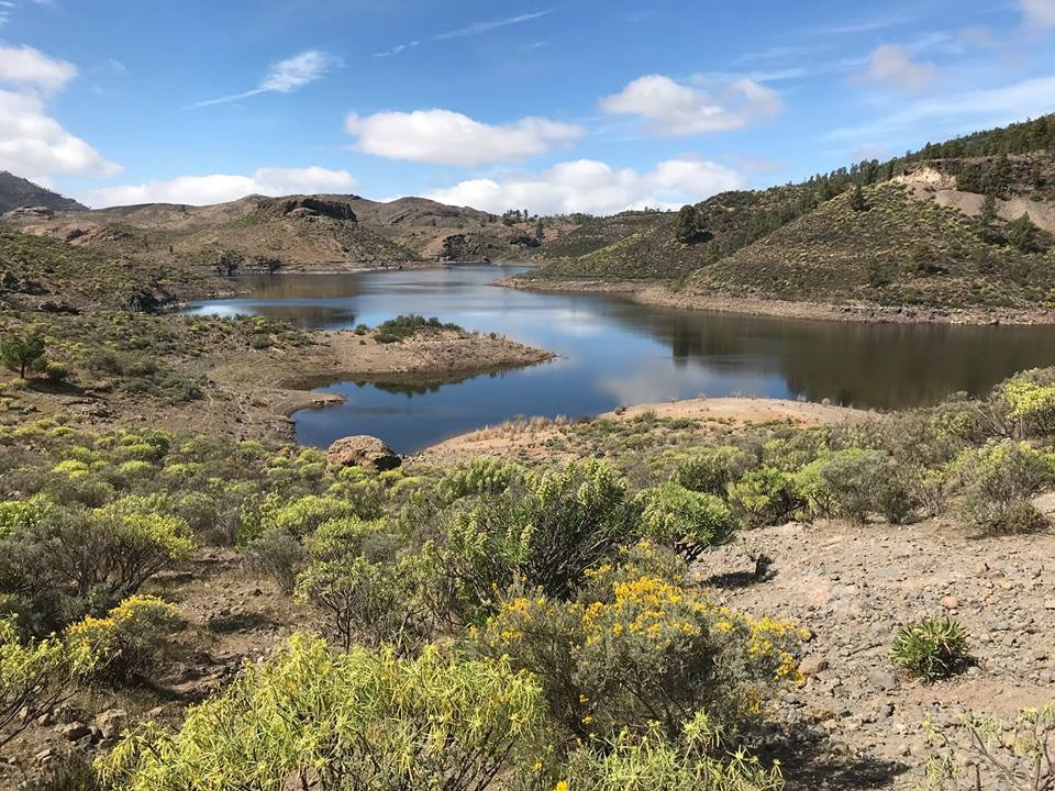 Fly Fishing for Carp in Gran Canaria