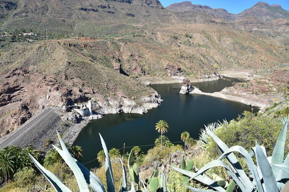 Fly Fishing for Carp in Gran Canaria