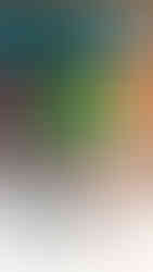 El Loco Fresh onboard Wonder of the Seas