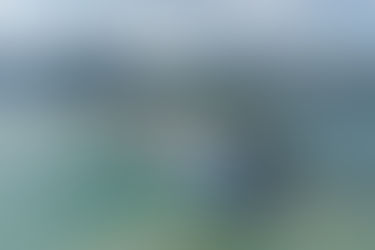 Ovation of the Seas Unscheduled Dry Dock