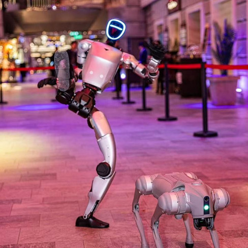 MSC Cruises Robot Dogs