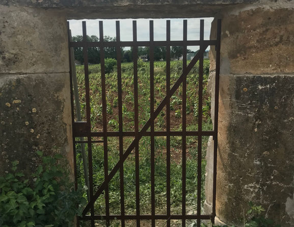 grille rouillé .JPEG