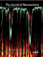 2010 jneuro cover
