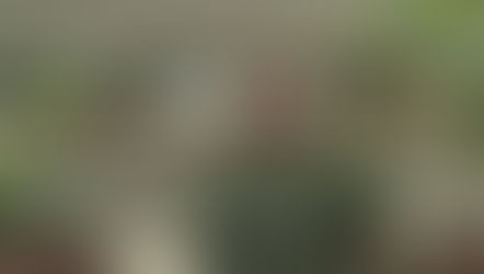 ¡CRITICAN EN REDES SOCIALES A DELFINA GÓMEZ!