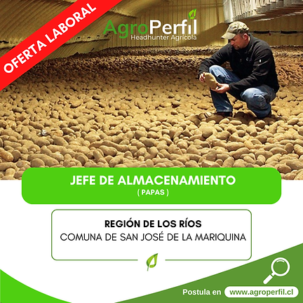 Image-empty-state_edited_edited_edited.p