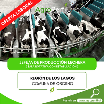 Image-empty-state_edited_edited_edited.p