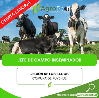 Image-empty-state_edited_edited_edited.p