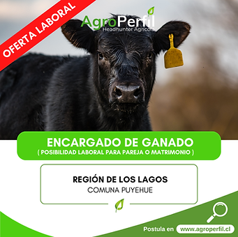 Image-empty-state_edited_edited_edited.p