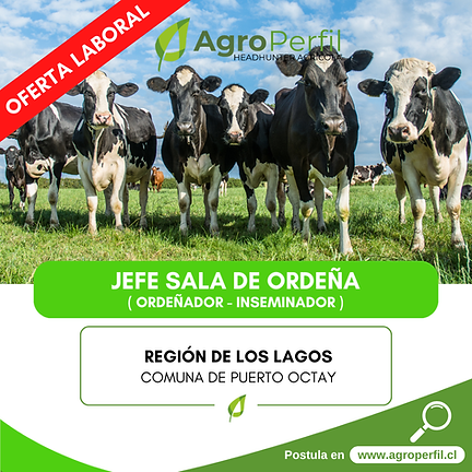 Image-empty-state_edited_edited_edited.p