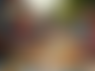 A Journey Begins: From Homelessness to Hope