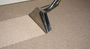 marcia carpet.jpg