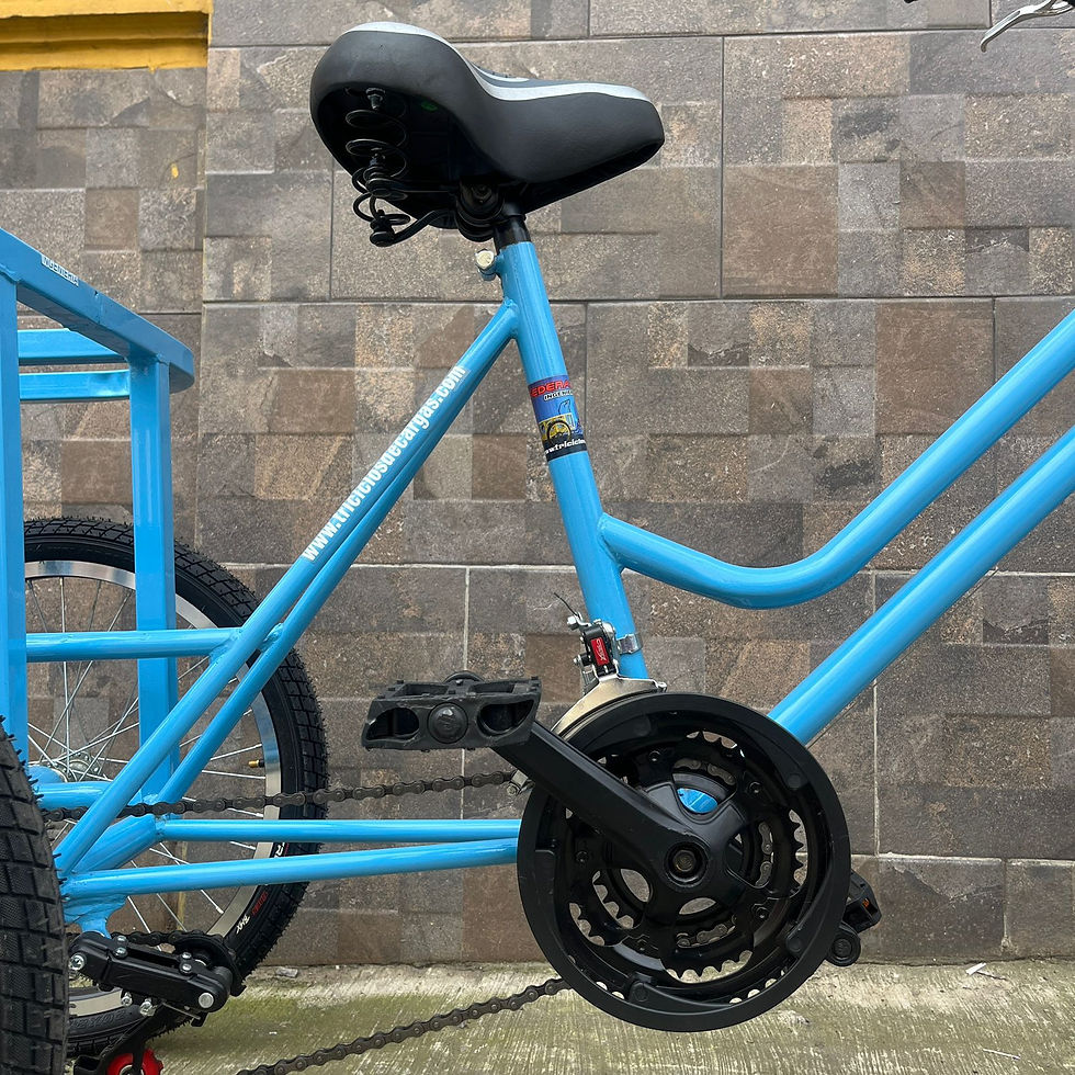 Miniatura: TRICICLO DE ADULTO CON PARRILLA