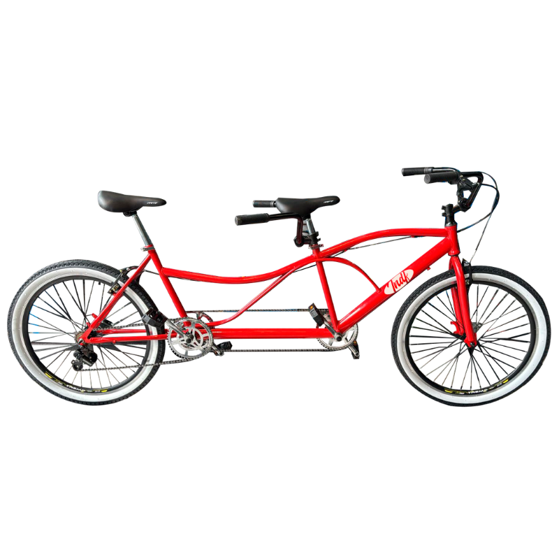 BICICLETA TAMDEN