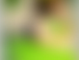 Salsas, dips y aderezos saludables