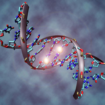The Mechanisms of Cancer Metastasis Based on Epigenetics and Epitranscriptomics: A Recent Insight
