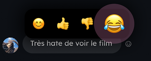 Capture d’écran 2024-12-27 115502.png