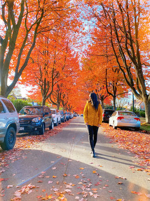O clima de Vancouver: as estações do ano