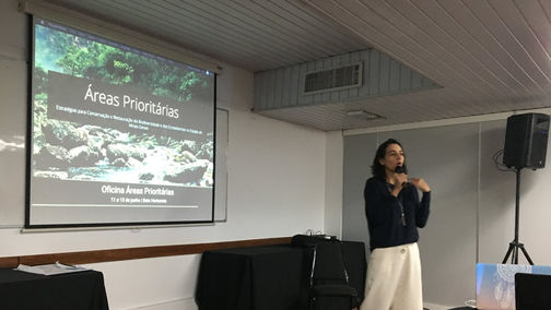 Sense-Lab modera oficina sobre áreas prioritárias para conservação da biodiversidade de Minas Gerais