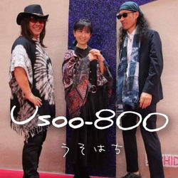 6.Usoo-800