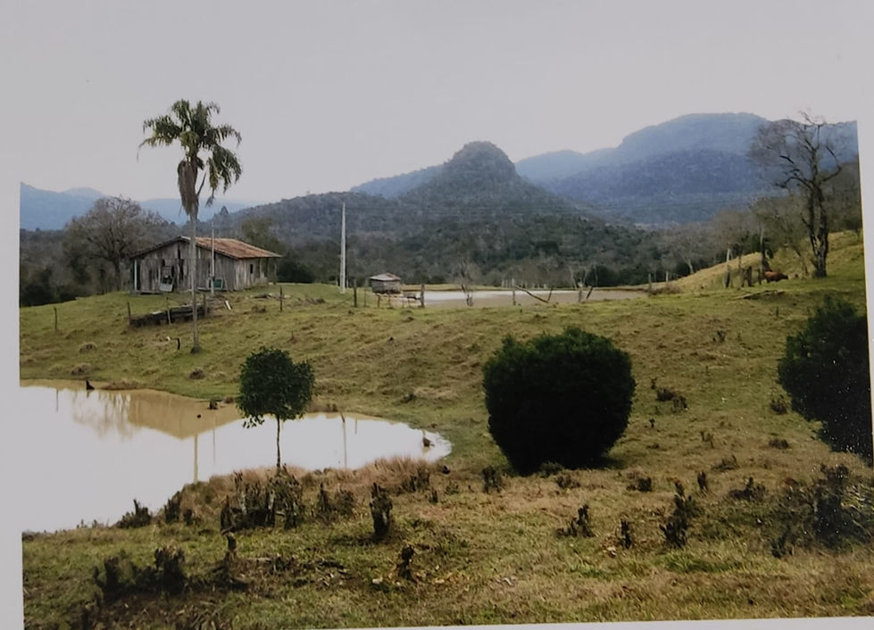 PAISAGEM LOCAL