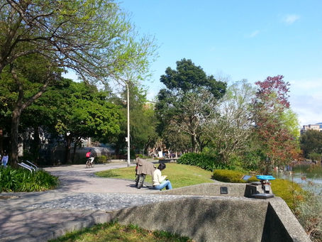 太想一個寂靜無鳴