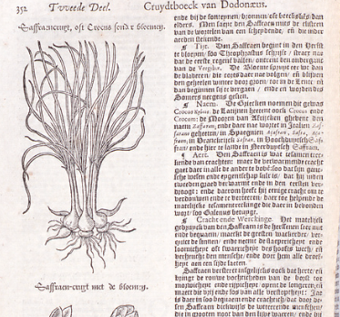 江戸時代の蘭書【歴史部生徒質問・調べてみた】