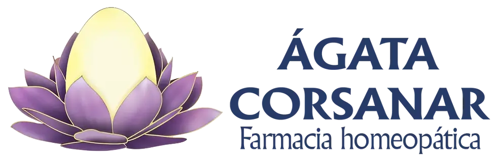 logo ultimo con todo transparente pequeño.webp