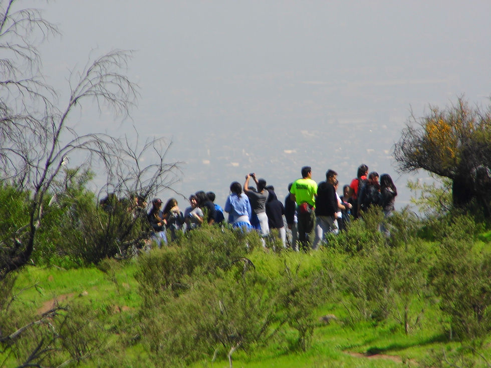 Mirador
