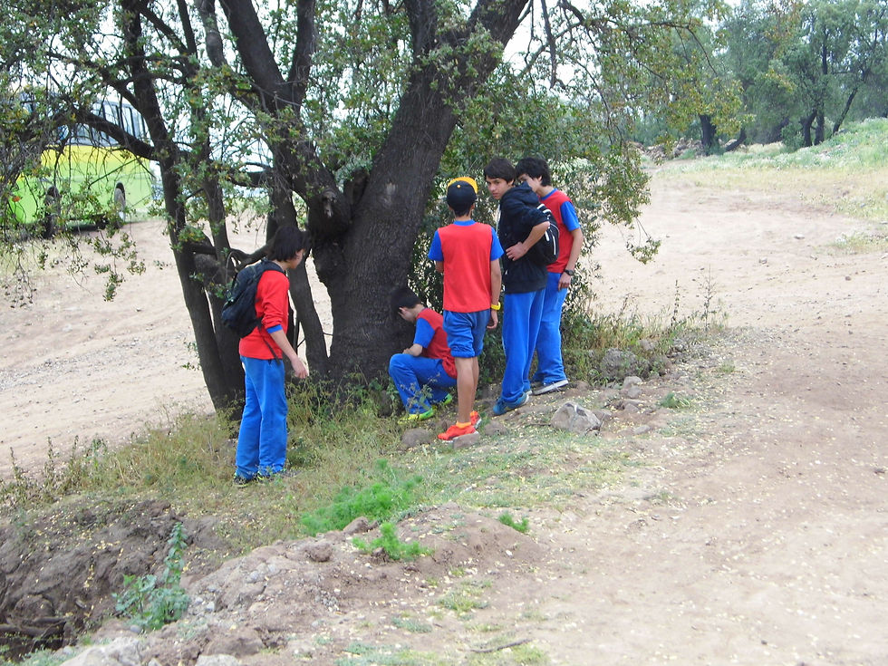 Orientación Terrestre