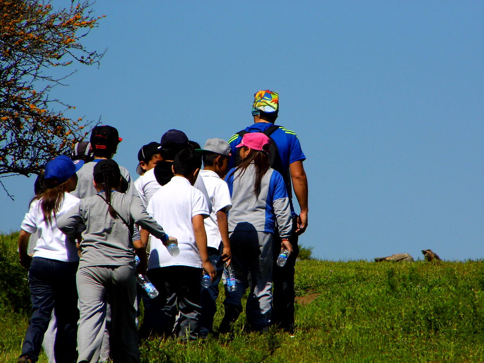 Excursiones